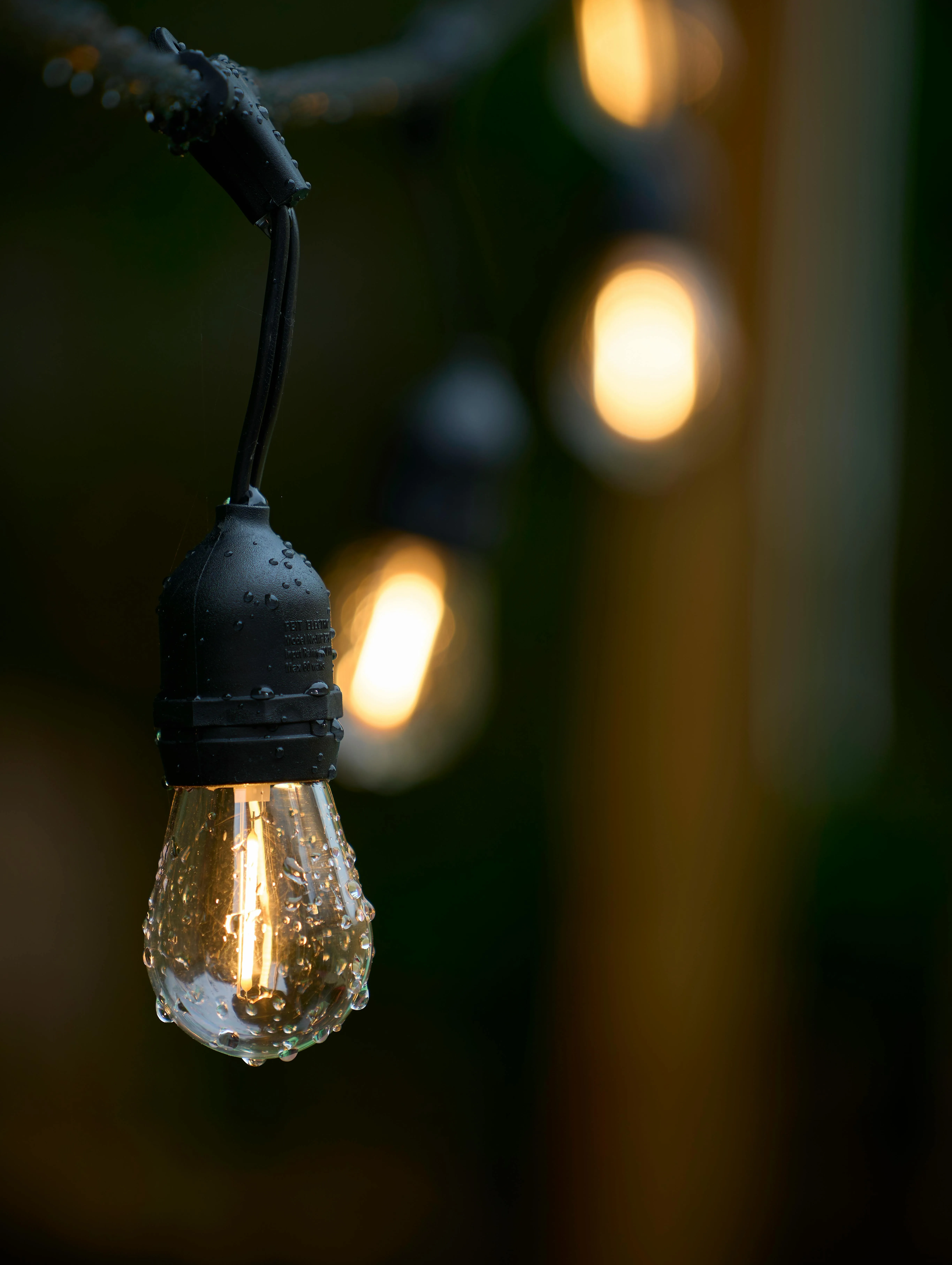 Backyard string light installation in Tulsa, Oklahoma